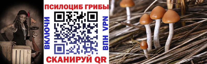 Галлюциногенные грибы Psilocybine cubensis  дарнет шоп  Новочеркасск 